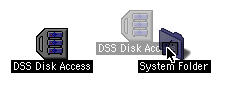 Install DSS Disk Access